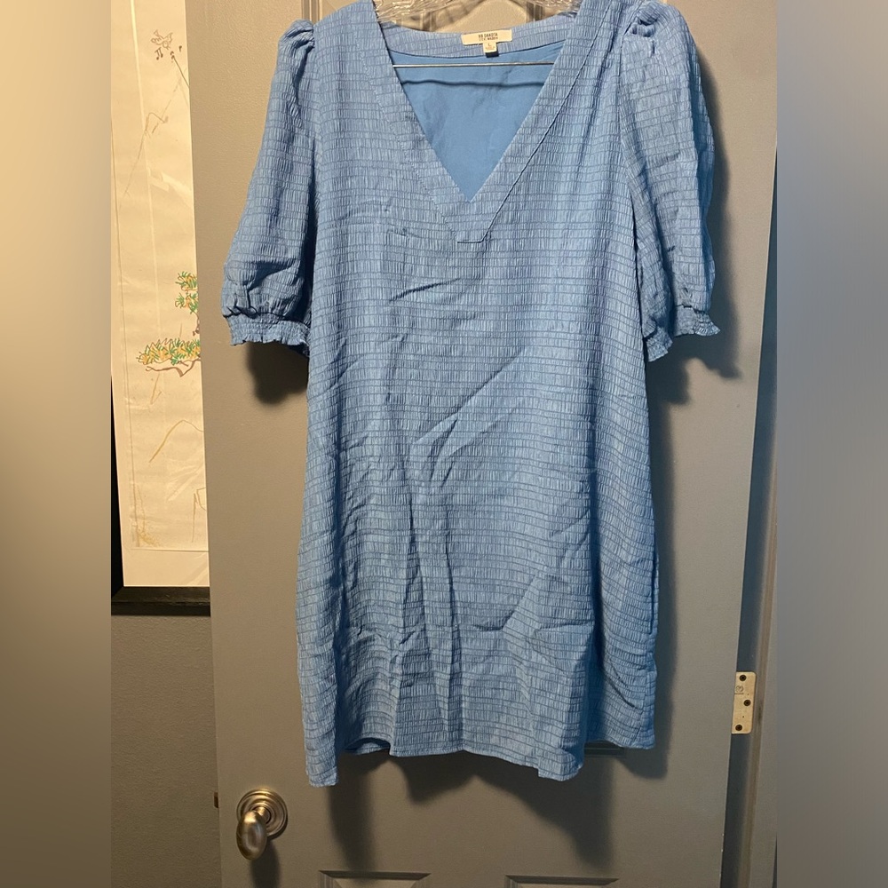 Bb Dakota dress